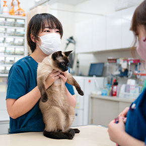 ALLONE動物病院 koganei病院
